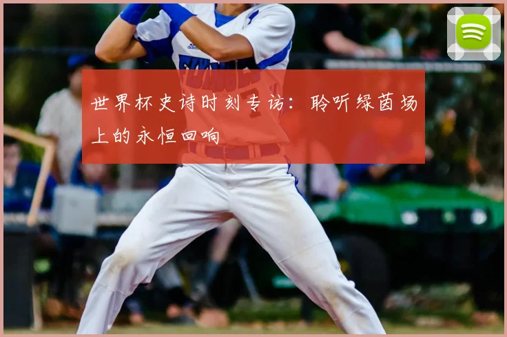 世界杯史诗时刻专访:聆听绿茵场上的永恒回响