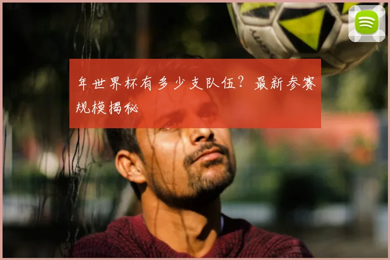 年世界杯有多少支队伍？最新参赛规模揭秘