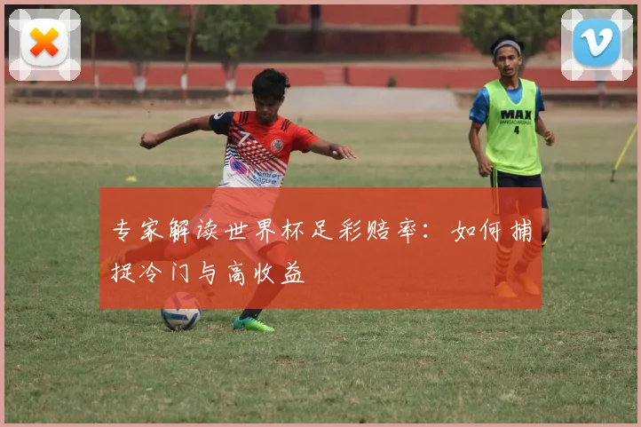 专家解读世界杯足彩赔率：如何捕捉冷门与高收益