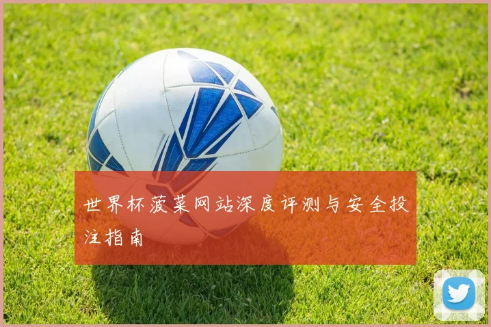 世界杯菠菜网站深度评测与安全投注指南