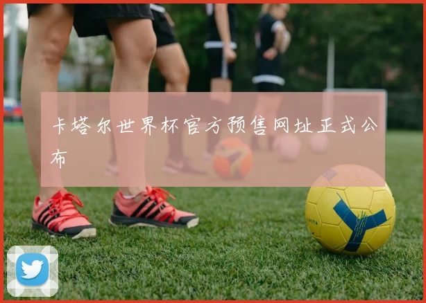 卡塔尔世界杯官方预售网址正式公布