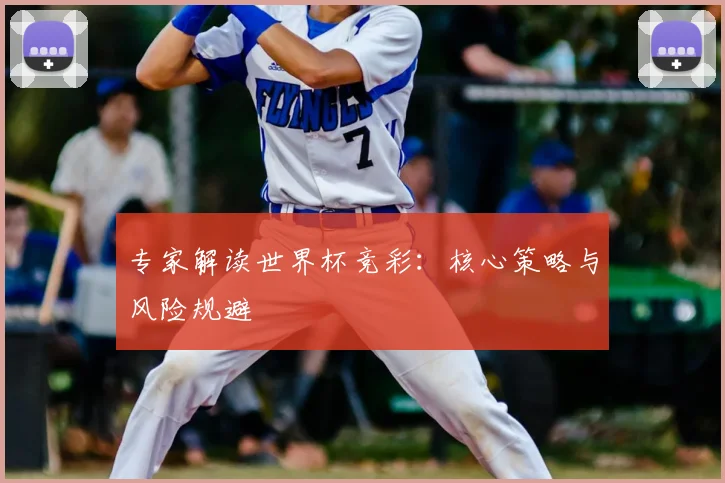 专家解读世界杯竞彩：核心策略与风险规避