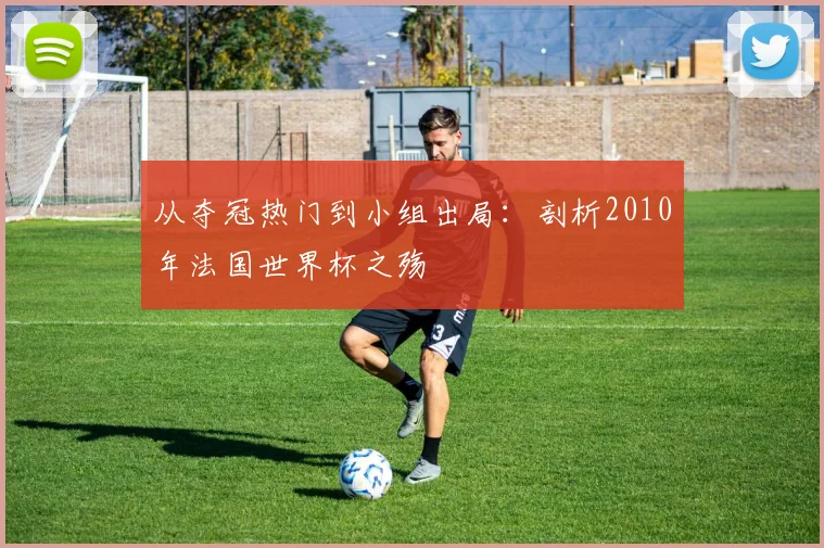 从夺冠热门到小组出局:剖析2010年法国世界杯之殇