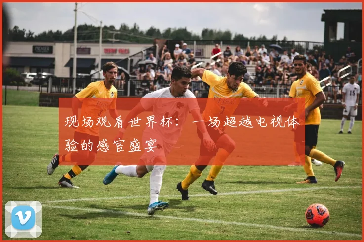 现场观看世界杯：一场超越电视体验的感官盛宴