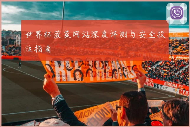 世界杯菠菜网站深度评测与安全投注指南